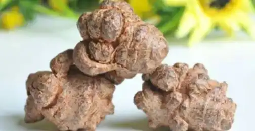 What are the anti-inflammatory mechanisms of notoginseng saponins?